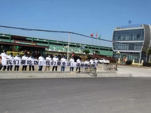 董明珠汽車的格力造