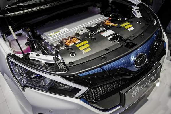 中國車牌競拍及政策補貼為電動車推廣創建良好環境 中國車牌競拍及政策補貼為電動車推廣創建良好環境